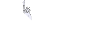 NY Web Expert